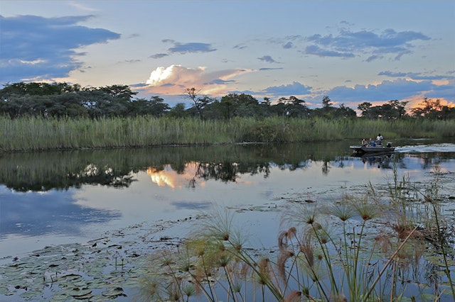 Camp Kwando Bushcamp