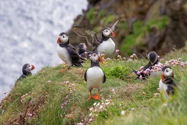 Entdecken Sie das Land der Nordlichter