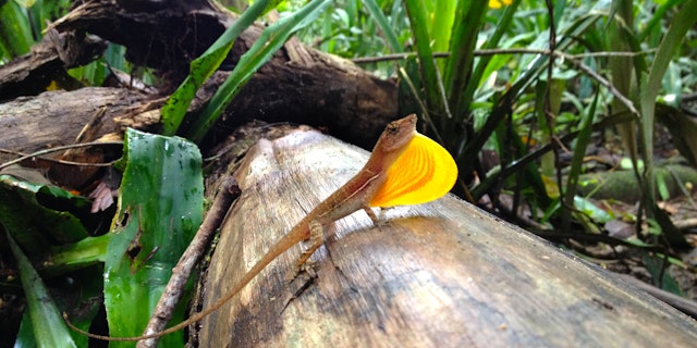 Piedras Blancas National Park-6