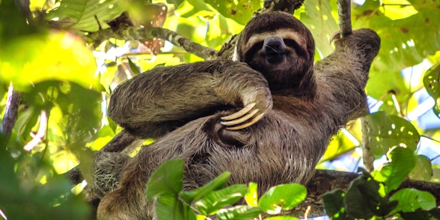 Piedras Blancas National Park-2