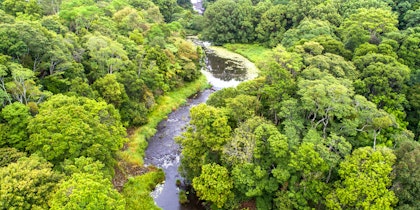 Explore the Golden Circle in Iceland! - Image 3