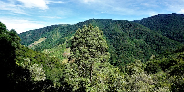 San Gerardo de Dota-5