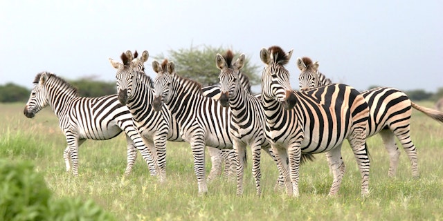 Nxai Pan National Park-4