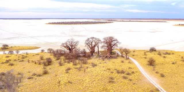 Nxai Pan National Park-0