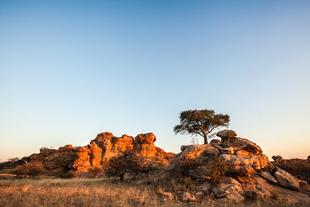 Boteti River - Makgadikgadi Pans National Park-3