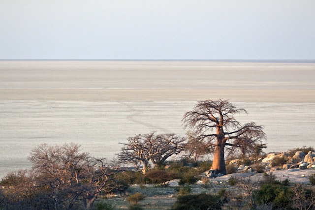Boteti River - Makgadikgadi Pans National Park-1