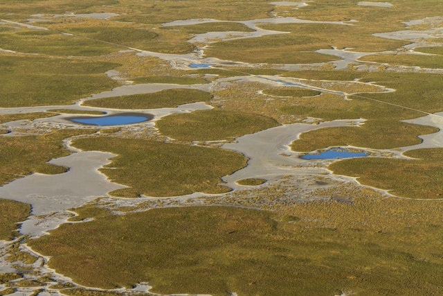 Boteti River - Makgadikgadi Pans National Park-0