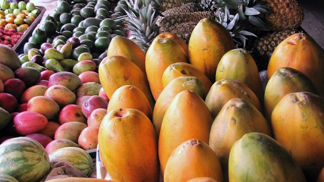 Puerto Viejo de Sarapiqui-1