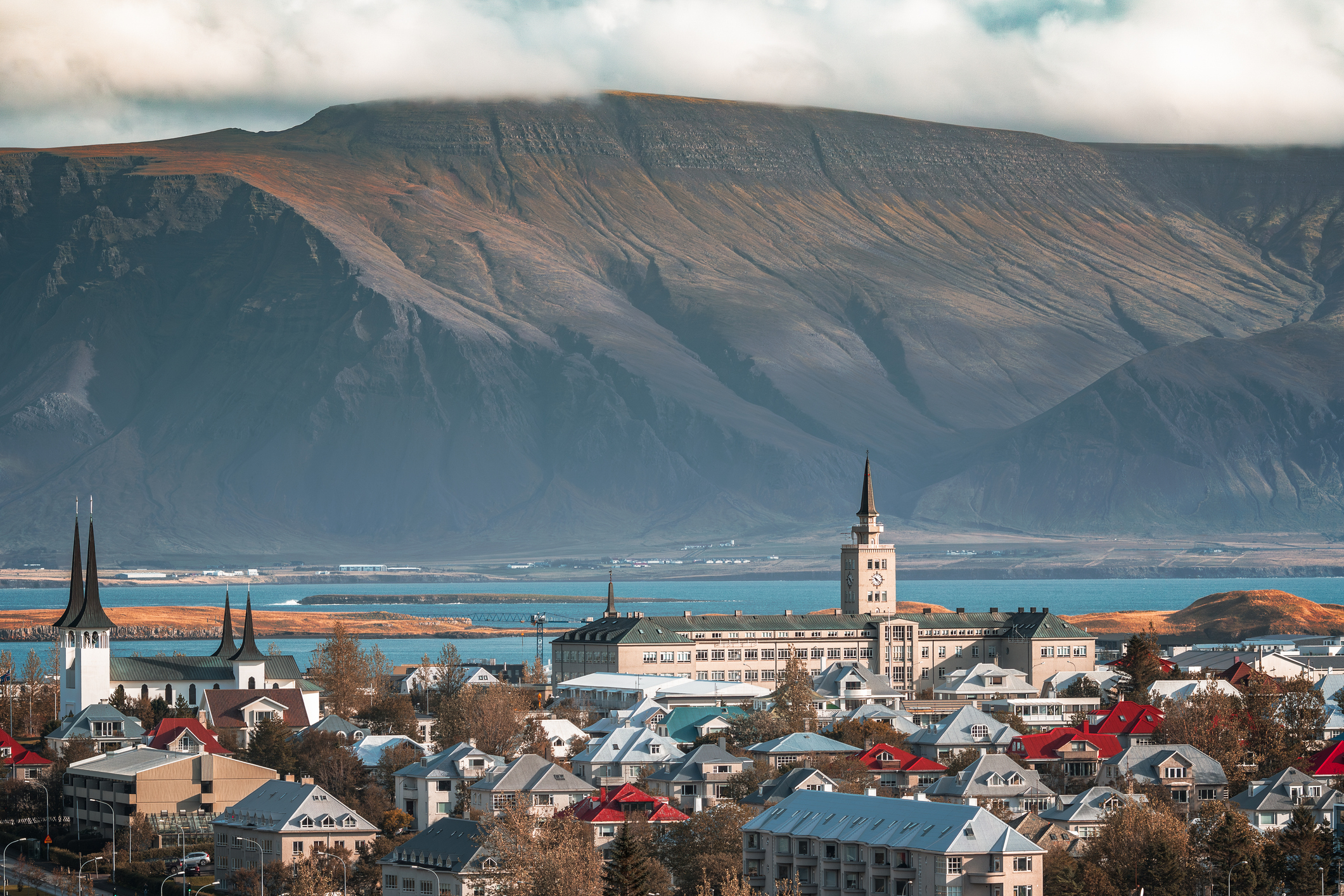 À l'état sauvage : entre glaciers et fjords isolés