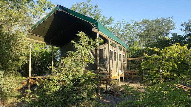 Chobe Forest Camp