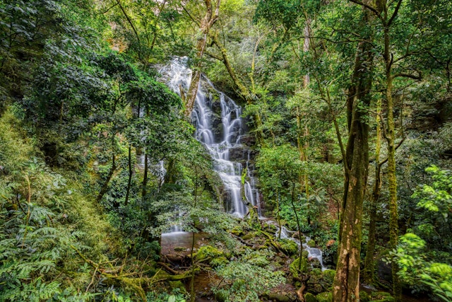 Rincon de la Vieja National Park-2