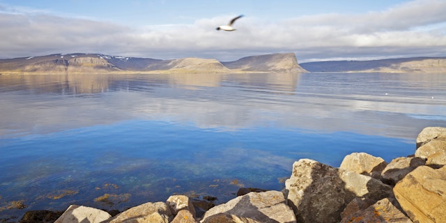 Patreksfjörður-14