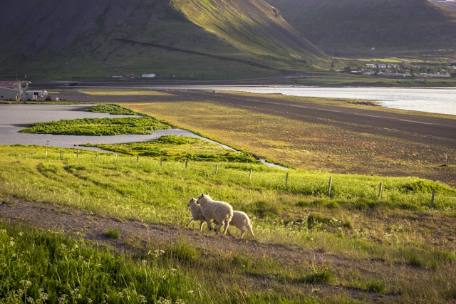 Ísafjörður-3