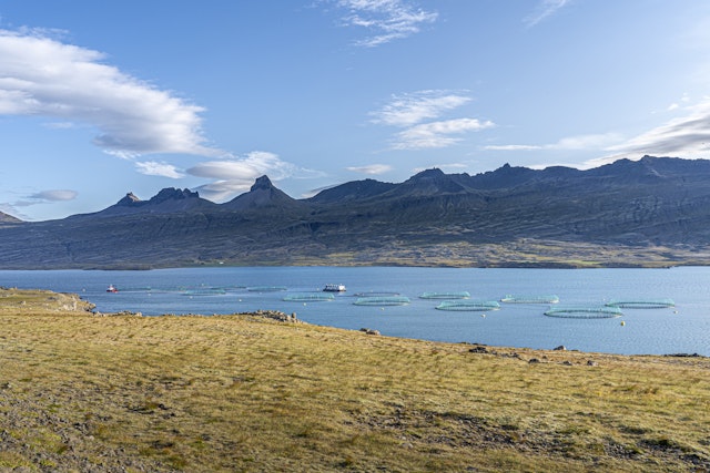 Ísafjörður-4