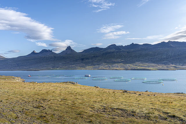 Ísafjörður-4