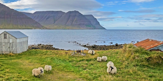 Ísafjörður-7