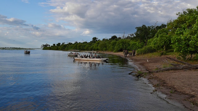 Chobe River Front-1