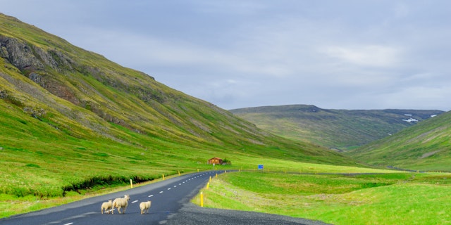 Hólmavík-0