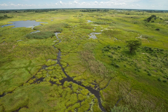 Okavango Panhandle-0