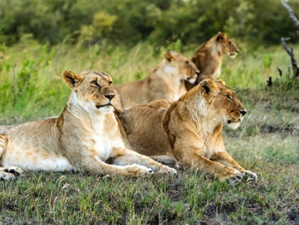 Okavango Panhandle-3