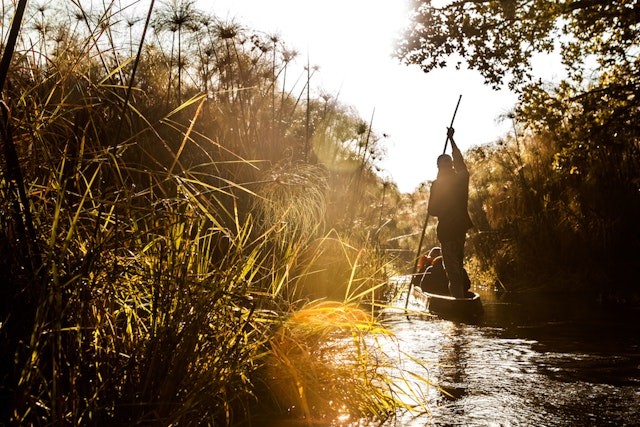Okavango Panhandle-2