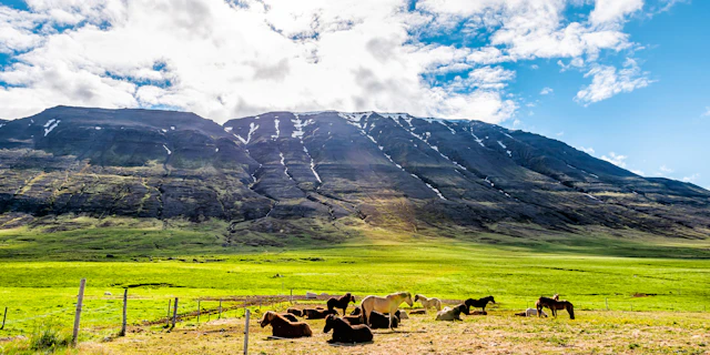 Akureyri-3