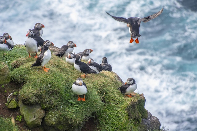 La beauté majestueuse de l'Islande vous attend