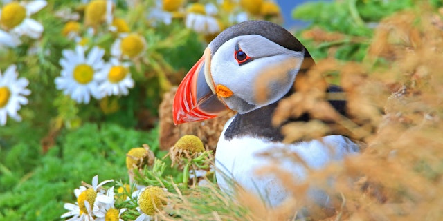 La beauté majestueuse de l'Islande vous attend