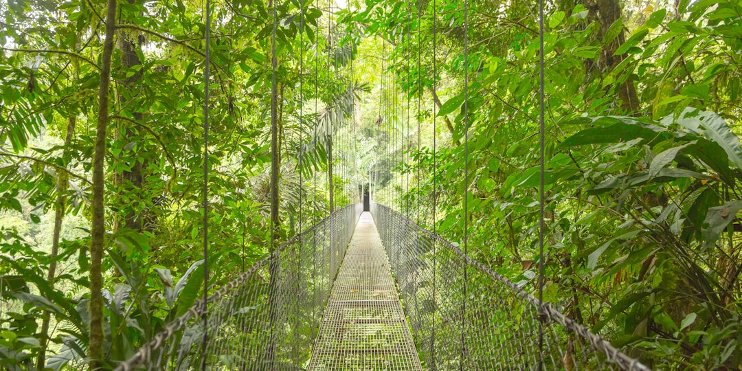 Explore the Golden Circle in Iceland!